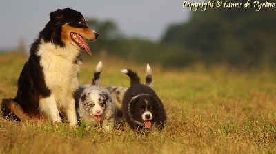 des cimes de Pyrène - 6 semaines pour les petits loups !