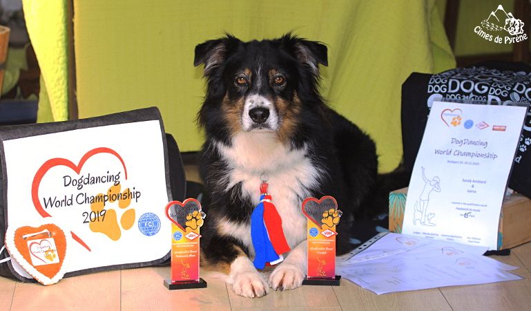 des cimes de Pyrène - Championnat du monde de DogDancing ! 