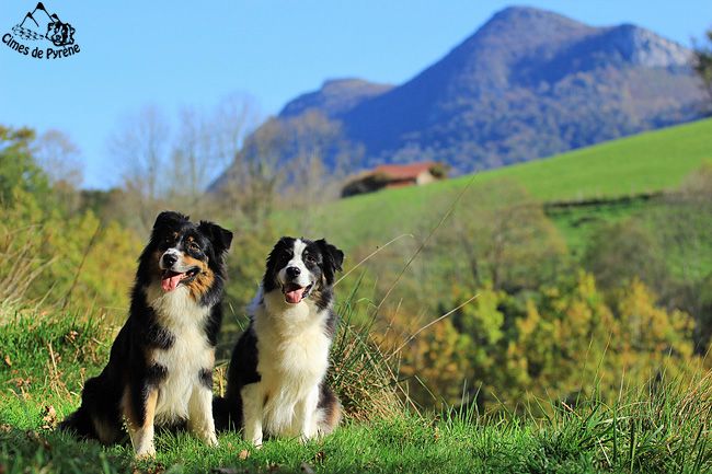 des cimes de Pyrène - Après une saison bien remplie...