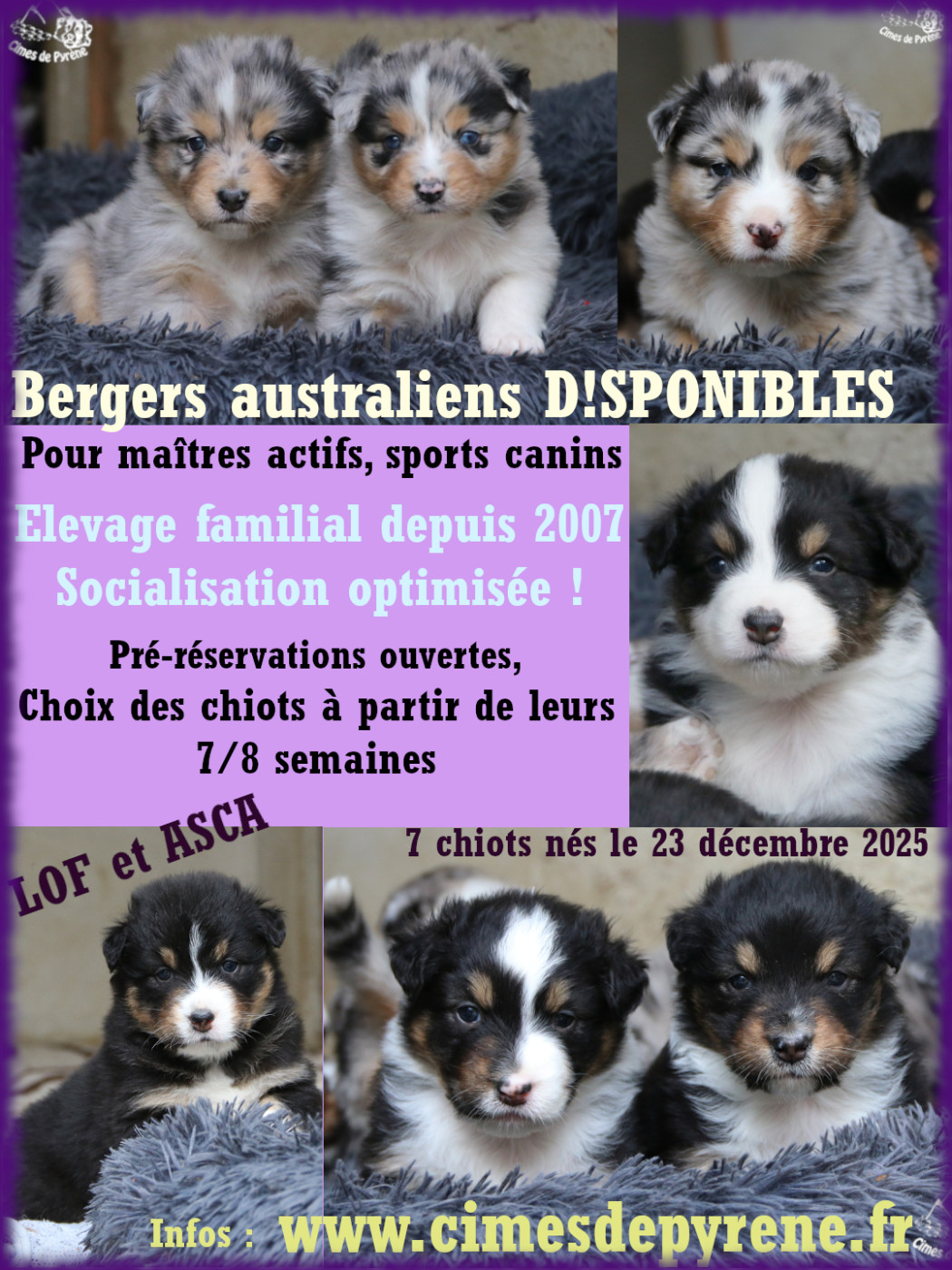 1 mois pour les loulous de Sigma et Kyle !